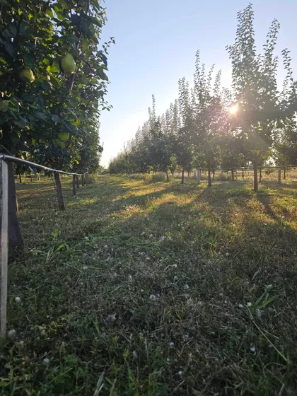 Svetozara Markovića | 4zida.rs