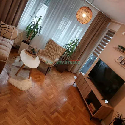 Petra Drapšina | 4zida.rs