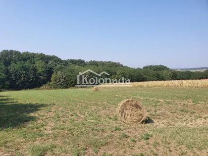 Nemenikuće | 4zida.rs