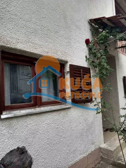 Goli Rid | 4zida.rs