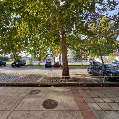 ANTIFASISTICKE BORBE | 4zida.rs