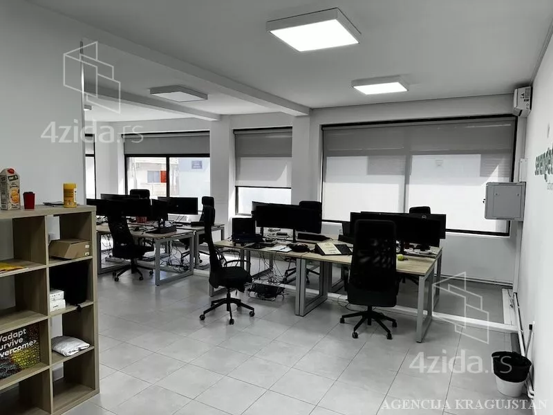 Lokal | 4zida