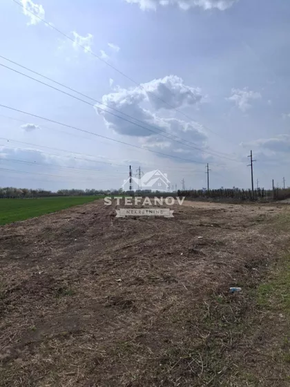 Zeleno Polje | 4zida.rs