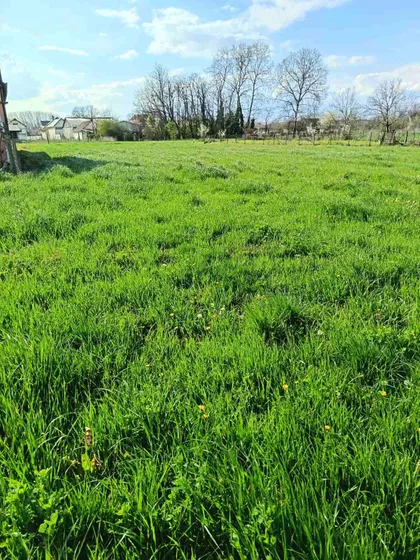 Đenerala Draže Mihailovića bb | 4zida.rs