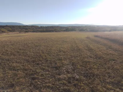 Vrmdža | 4zida.rs