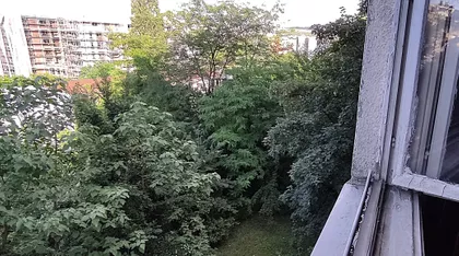 Ljuba Vučkovića | 4zida.rs