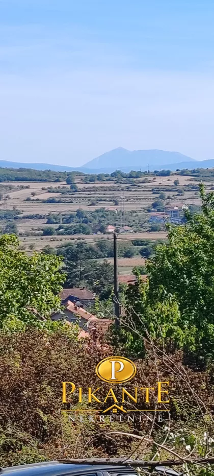 Kolonija | 4zida.rs