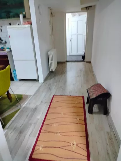 Ivana Mičurina | 4zida.rs