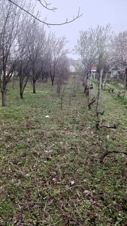 DUNAVSKA | 4zida.rs
