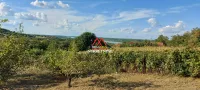 Karlovački Vinogradi, Okolne lokacije, Sremski Karlovci | 4zida.rs | 4zida.rs