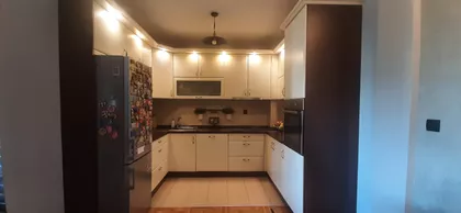 Dr Svetislava Kasapinovića | 4zida.rs