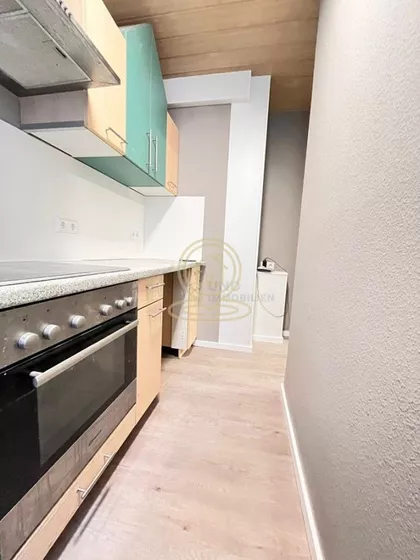 Rotkvarija | 4zida.rs