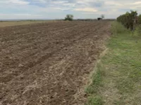 Čortanovci, Okolne lokacije, Inđija | 4zida.rs