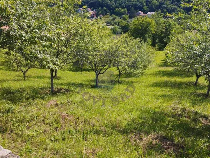 Paragovo | 4zida.rs