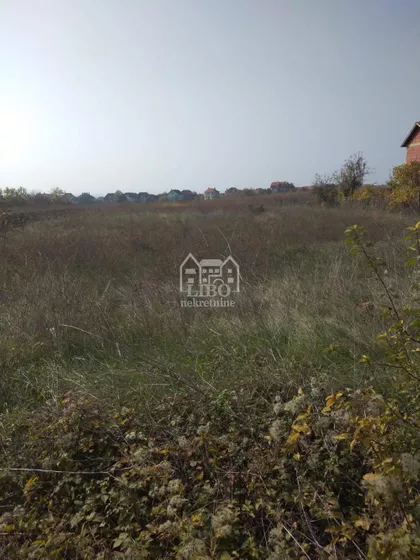 Branko Bjegović | 4zida.rs