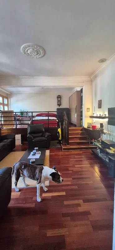 Dobračina | 4zida.rs