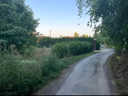 Oduševačka | 4zida.rs