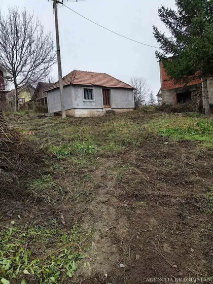 Badnjevac | 4zida.rs