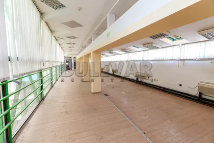 Obrenovićeva | 4zida.rs