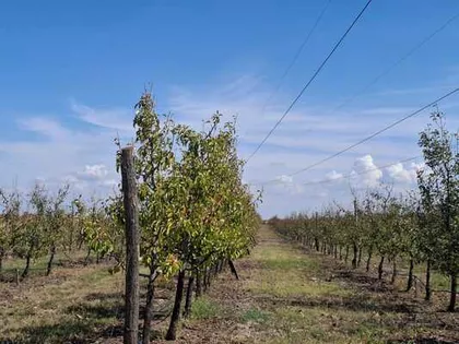 Zrenjanin, Duvanika | 4zida.rs