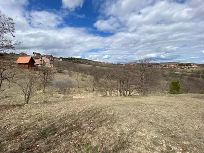 Jelje | 4zida.rs