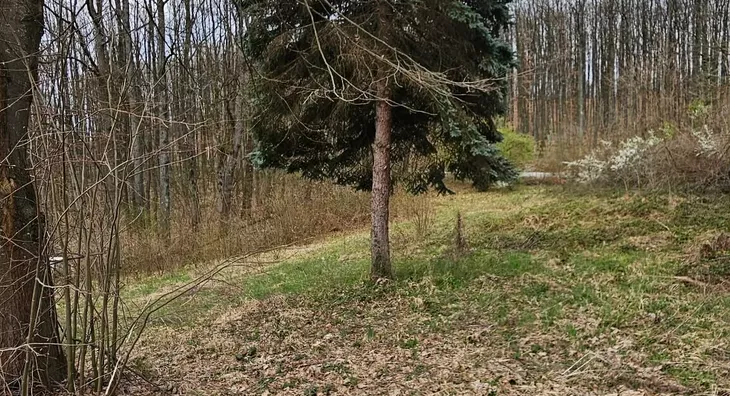 Poljoprivredno zemljište | 4zida