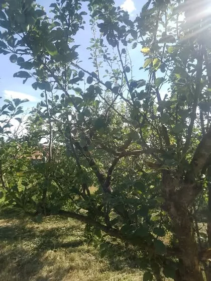 Kubršnička 24 | 4zida.rs