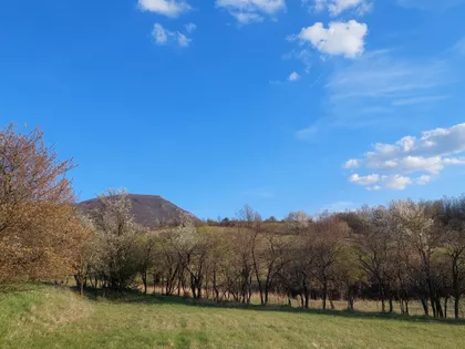 Bore Markovića | 4zida.rs