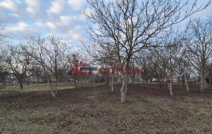 Palić | 4zida.rs