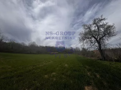 Krušedol Prnjavor | 4zida.rs