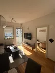Novi Sad - Centar, Stari Grad, Gradske lokacije, Novi Sad | 4zida.rs | 4zida.rs