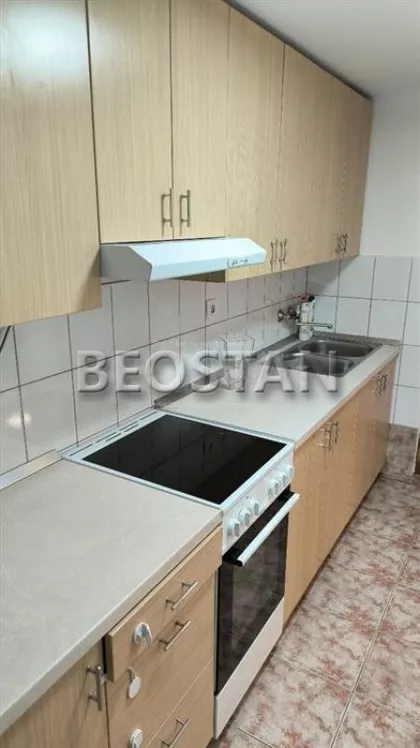 Svetozara Miletica | 4zida.rs