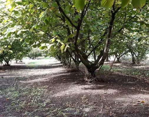 Turistički objekat | 4zida