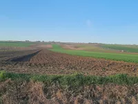 Stari Slankamen, Okolne lokacije, Inđija | 4zida.rs