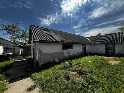 Srpski Šor | 4zida.rs