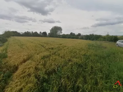 Gradske lokacije | 4zida.rs