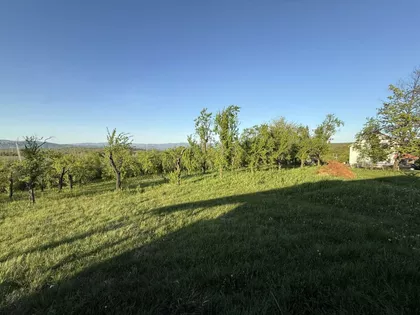 Dragosinjci | 4zida.rs