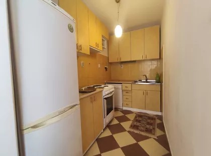 Dušana Vasiljeva | 4zida.rs