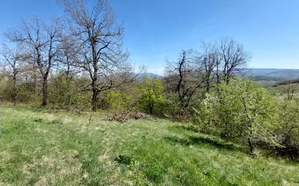 Bačevička | 4zida.rs