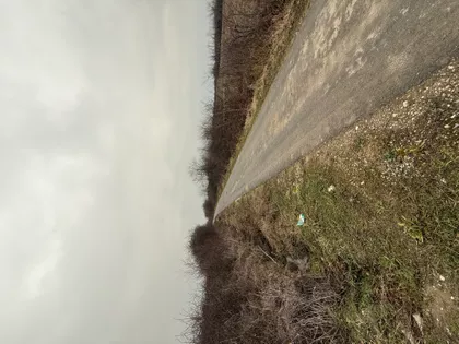 Dubrava | 4zida.rs