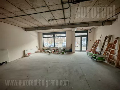 ZEMUN PUPINOV MOST | 4zida.rs