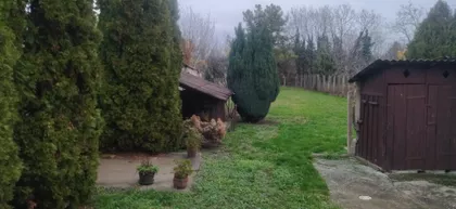 Žarka Zrenjanina | 4zida.rs