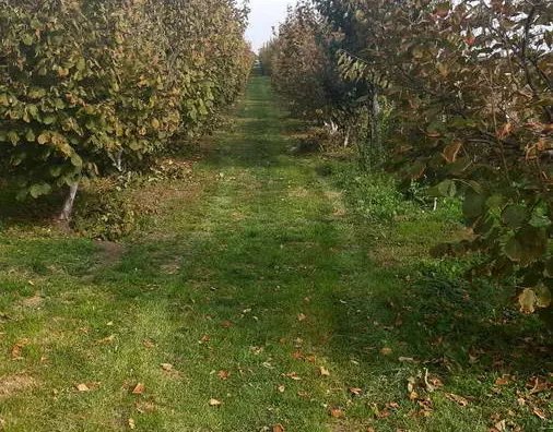 Turistički objekat | 4zida