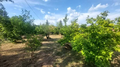 Šiljakovac | 4zida.rs