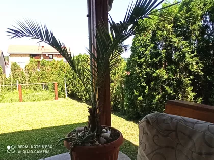 Nade Naumović | 4zida.rs