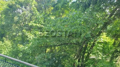 Boska Petrovica | 4zida.rs