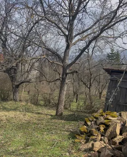 Gornji Barbeš | 4zida.rs