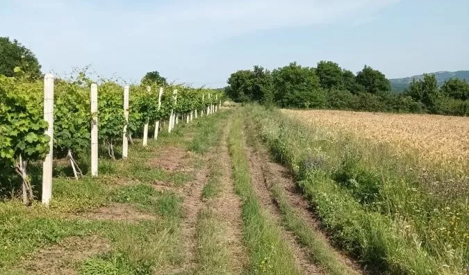 Poljoprivredno zemljište | 4zida