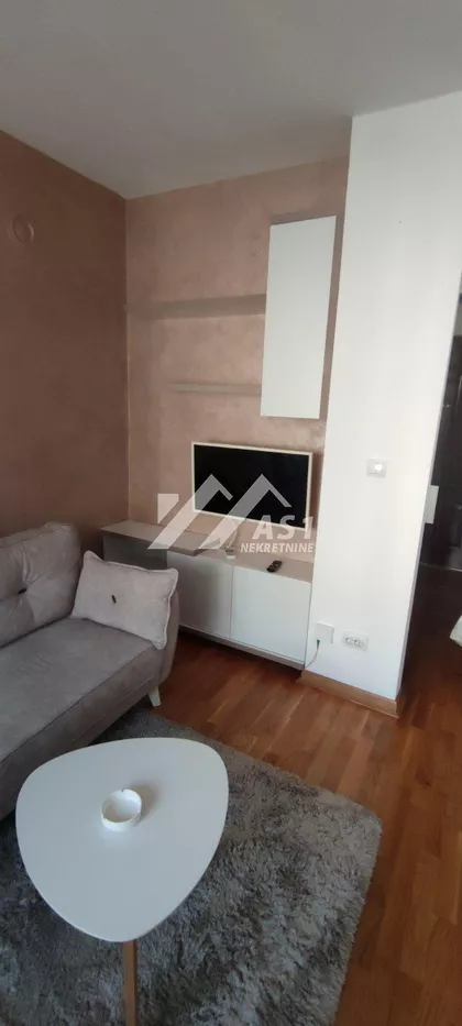 Dr Svetislava Kasapinovića | 4zida.rs