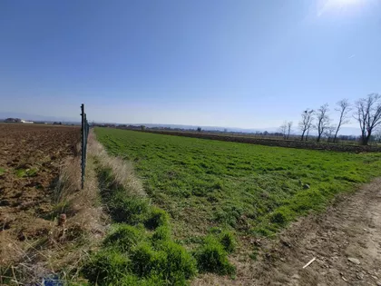 Donje Međurovo | 4zida.rs